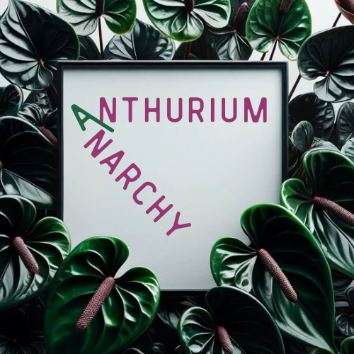 Anthurium Anarchy