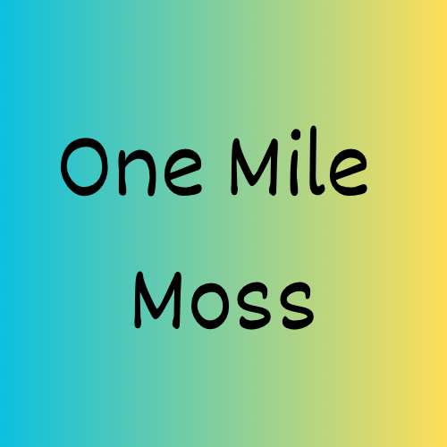 Triple AAA MILE LONG MOSS